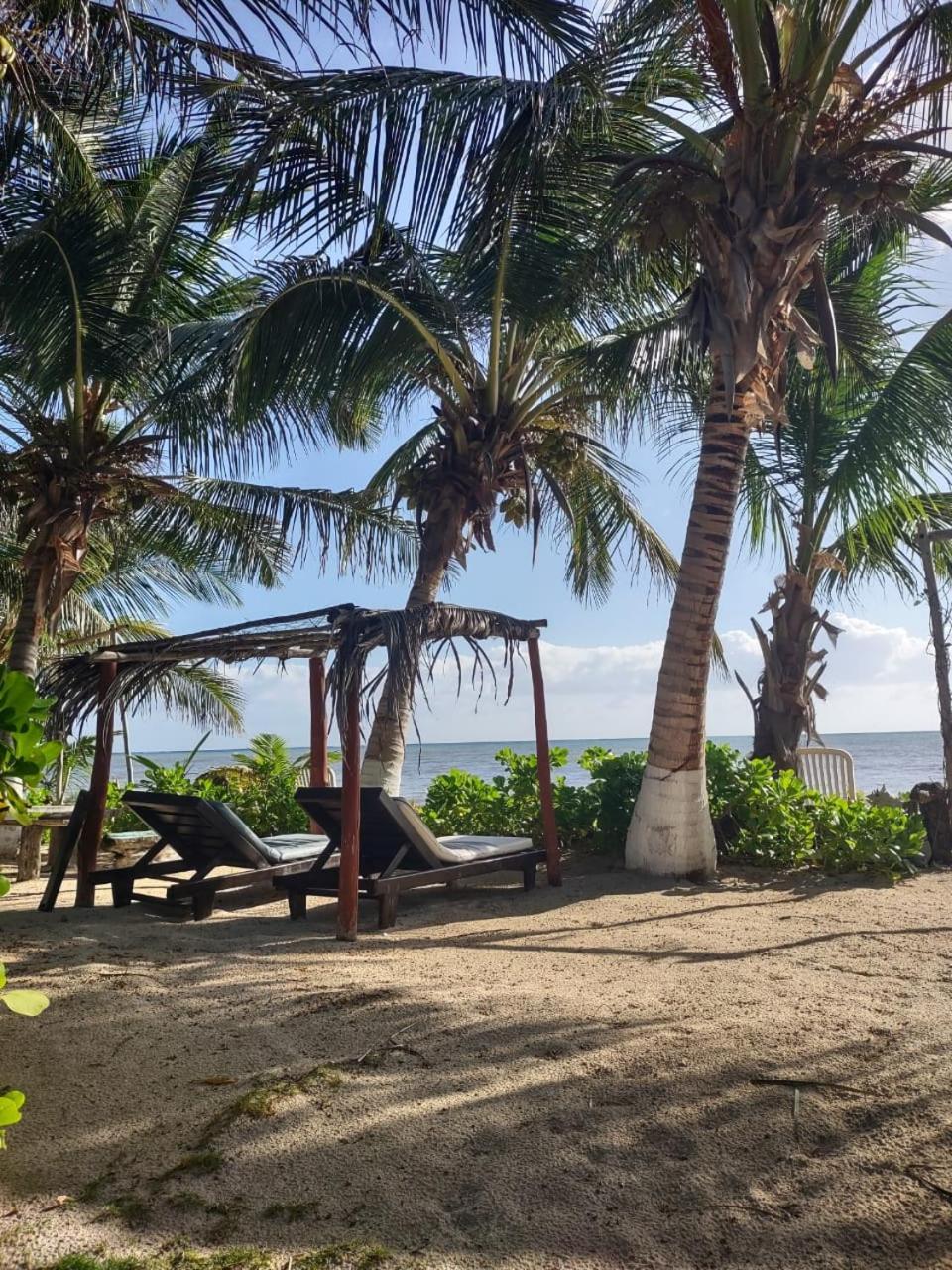 Lunazul Eco-Cabana Frente Al Mar Mahahual Exteriér fotografie