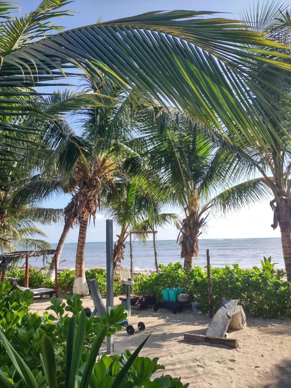 Lunazul Eco-Cabana Frente Al Mar Mahahual Exteriér fotografie