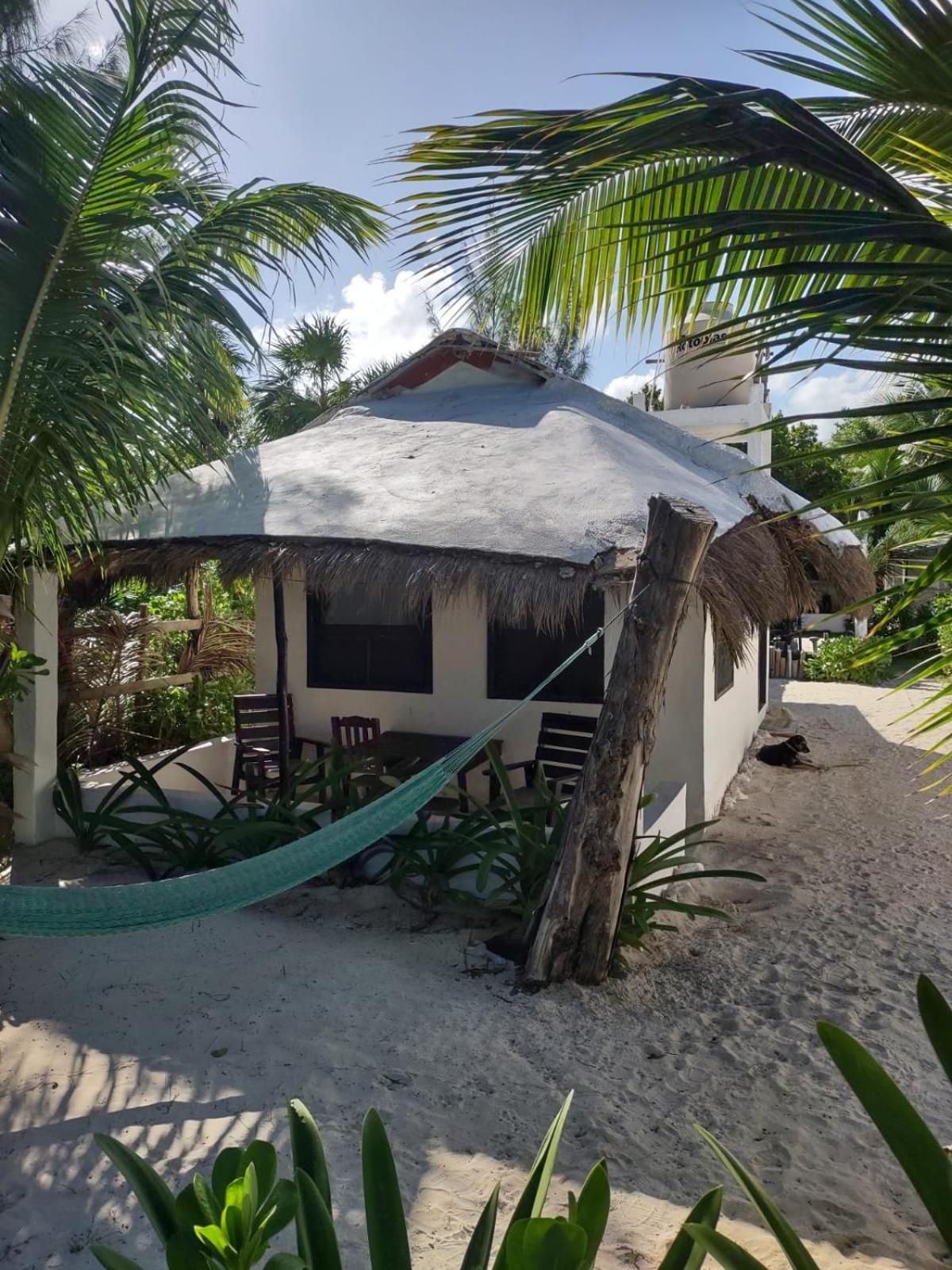 Lunazul Eco-Cabana Frente Al Mar Mahahual Exteriér fotografie