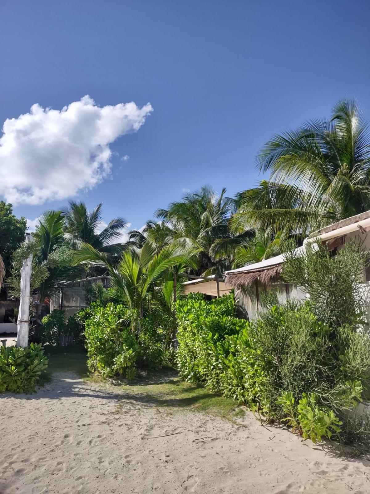 Lunazul Eco-Cabana Frente Al Mar Mahahual Exteriér fotografie